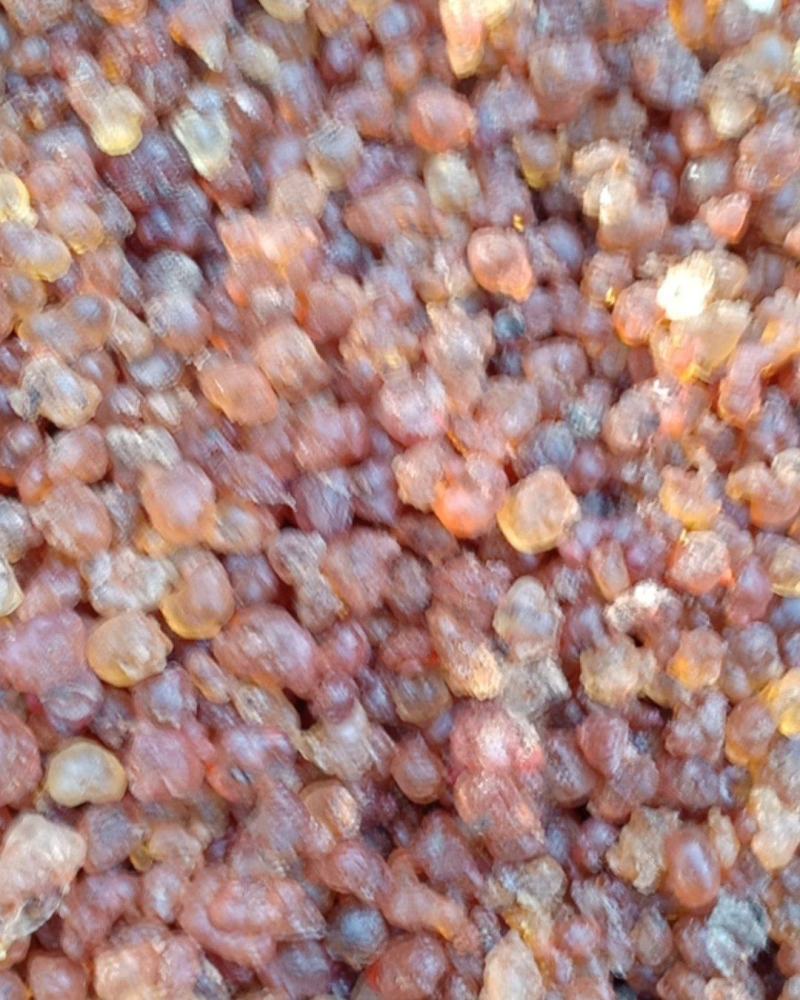沂蒙山区里的野生优质桃胶，零售批发，产地直发，一级精品