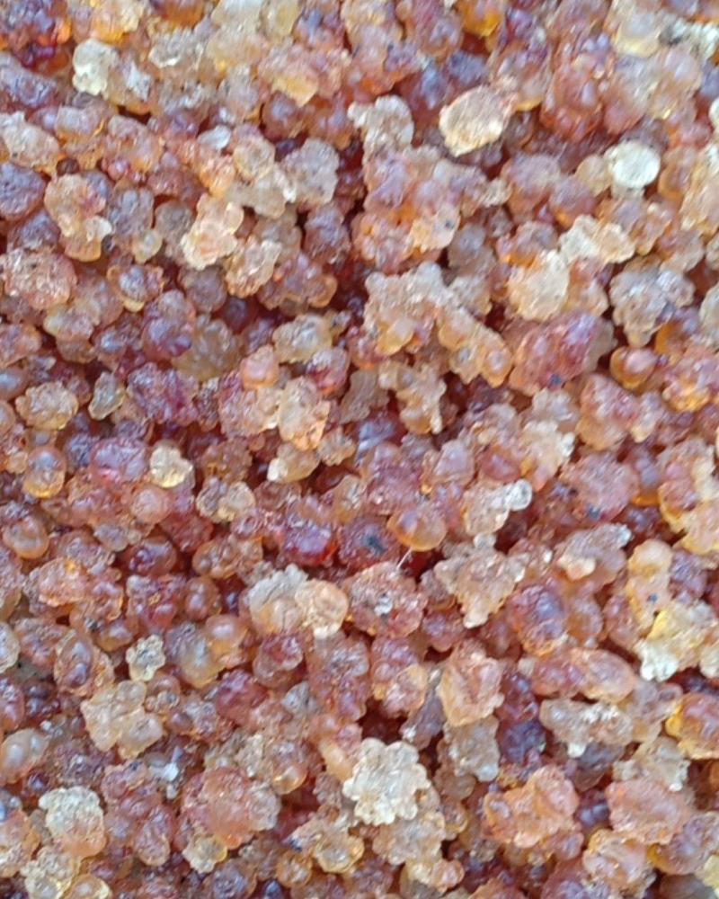 沂蒙山区里的野生优质桃胶，零售批发，产地直发，一级精品