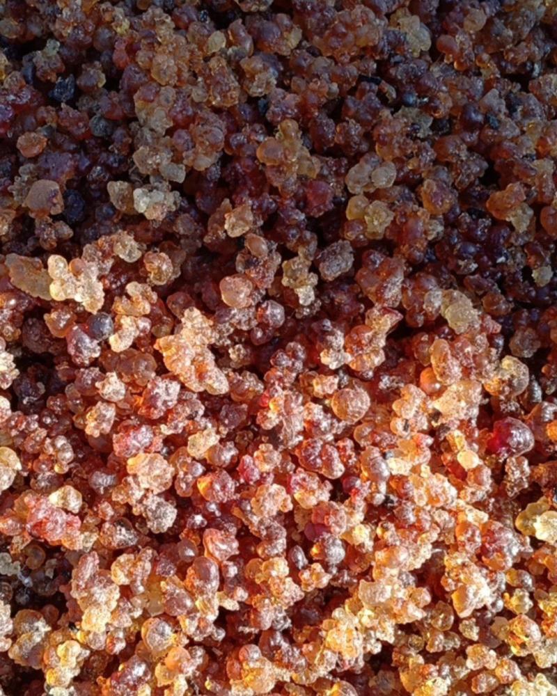 沂蒙山区里的野生优质桃胶，零售批发，产地直发，一级精品