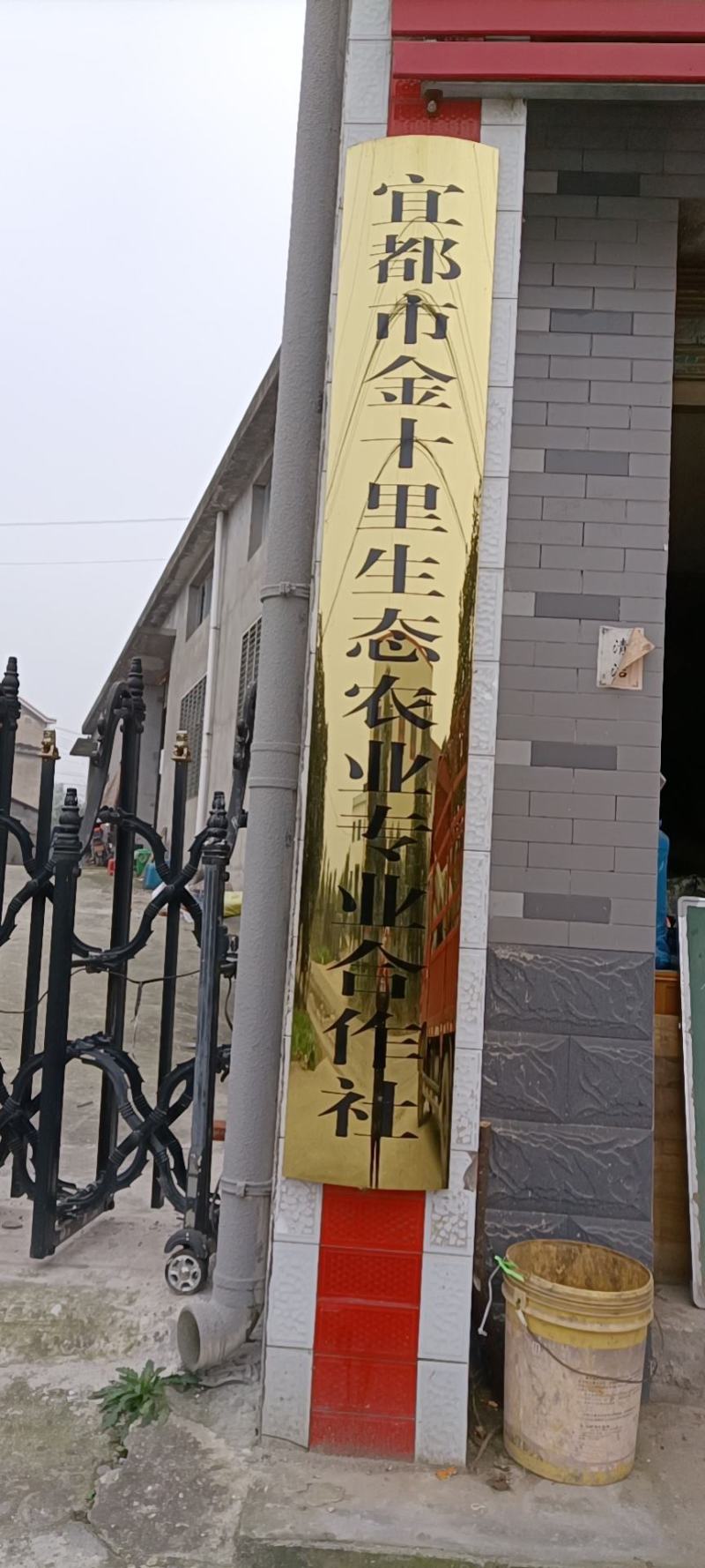 络石藤宜昌地产药材个子机压包价格低廉
