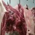 驴肉，国产，去骨，带皮，去皮都有，保证质量，各种手续齐全