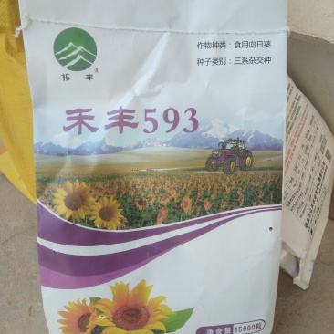 禾丰593