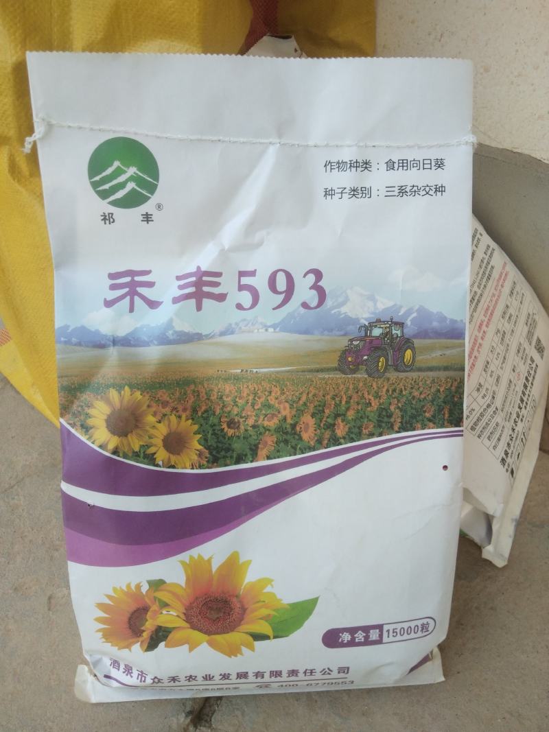 禾丰593