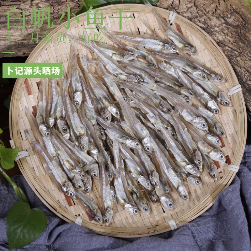 厂家直销新货小鱼干纯淡嗮足干白帆鱼小鱼仔公干鱼
