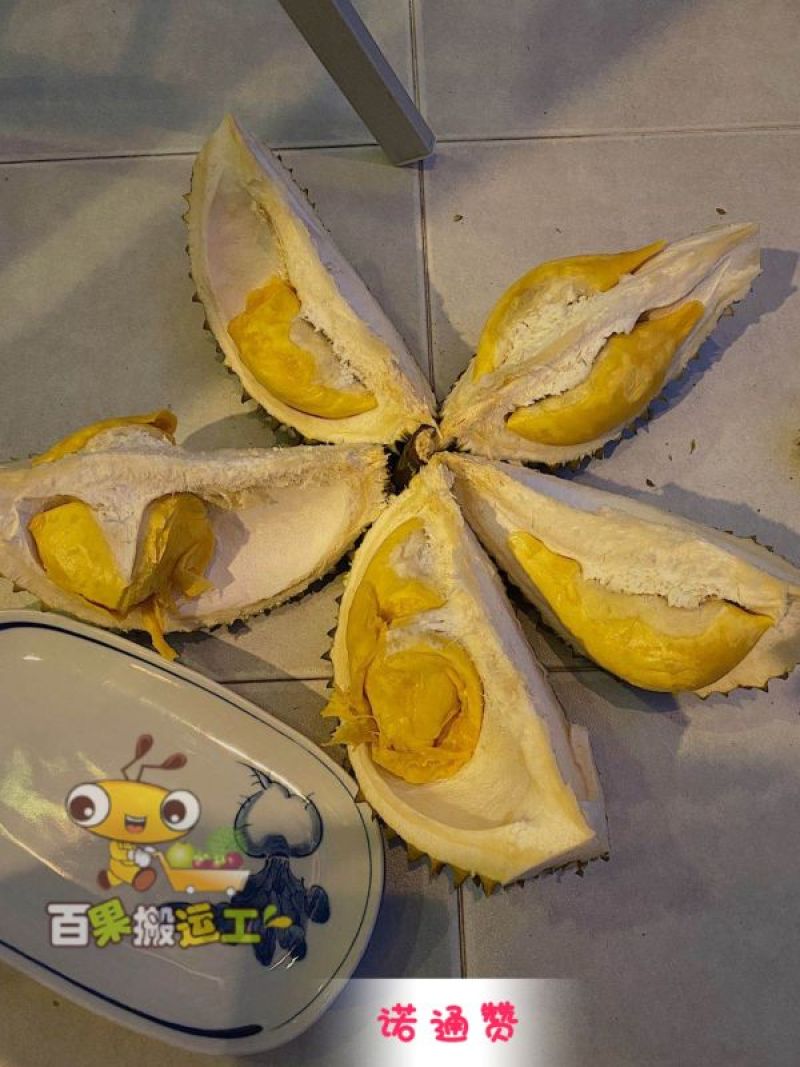 泰国榴莲混装玛雅+青蛙+山大530元,顺丰全国包邮