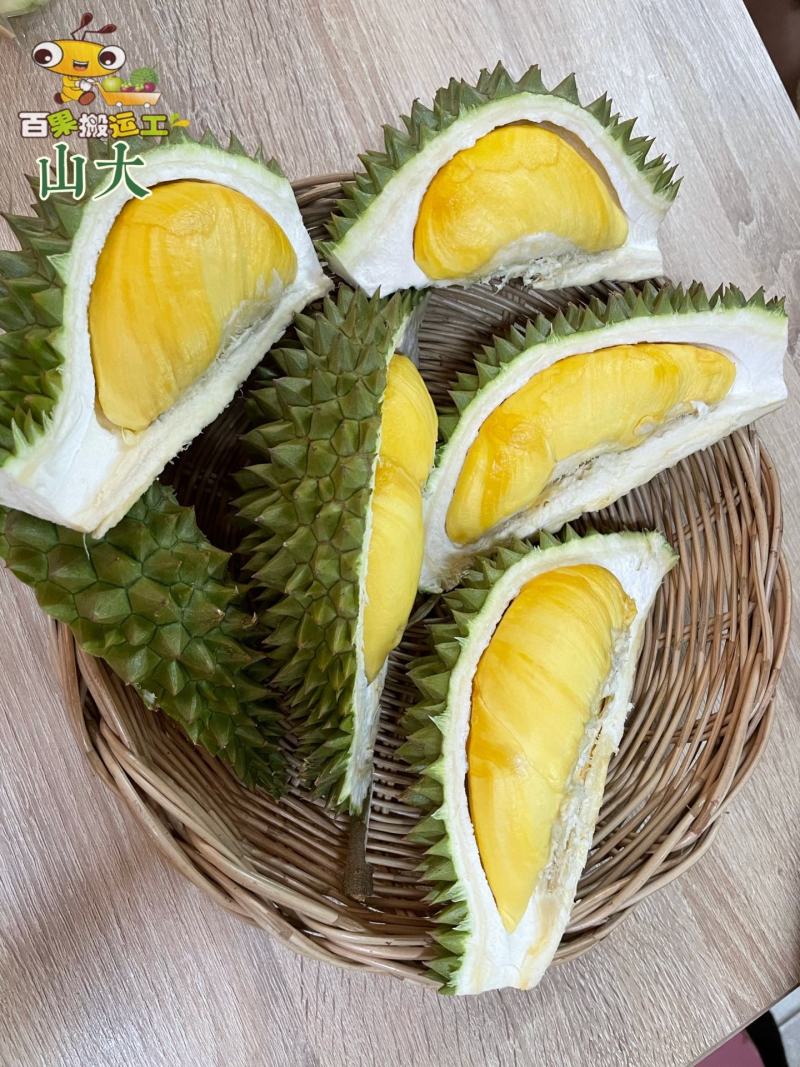 泰国榴莲混装玛雅+青蛙+山大530元,顺丰全国包邮