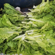 蔬菜