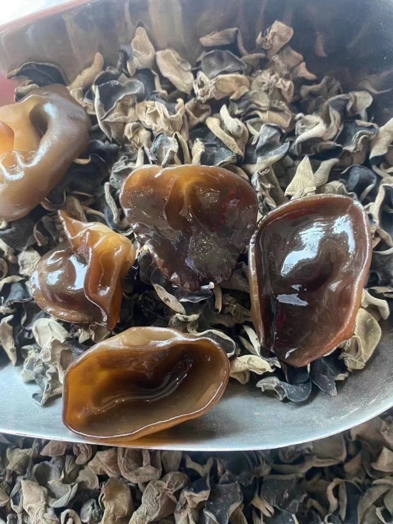 【参之源】东北一级新椴树秋木耳