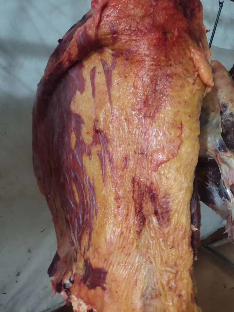 牛肉