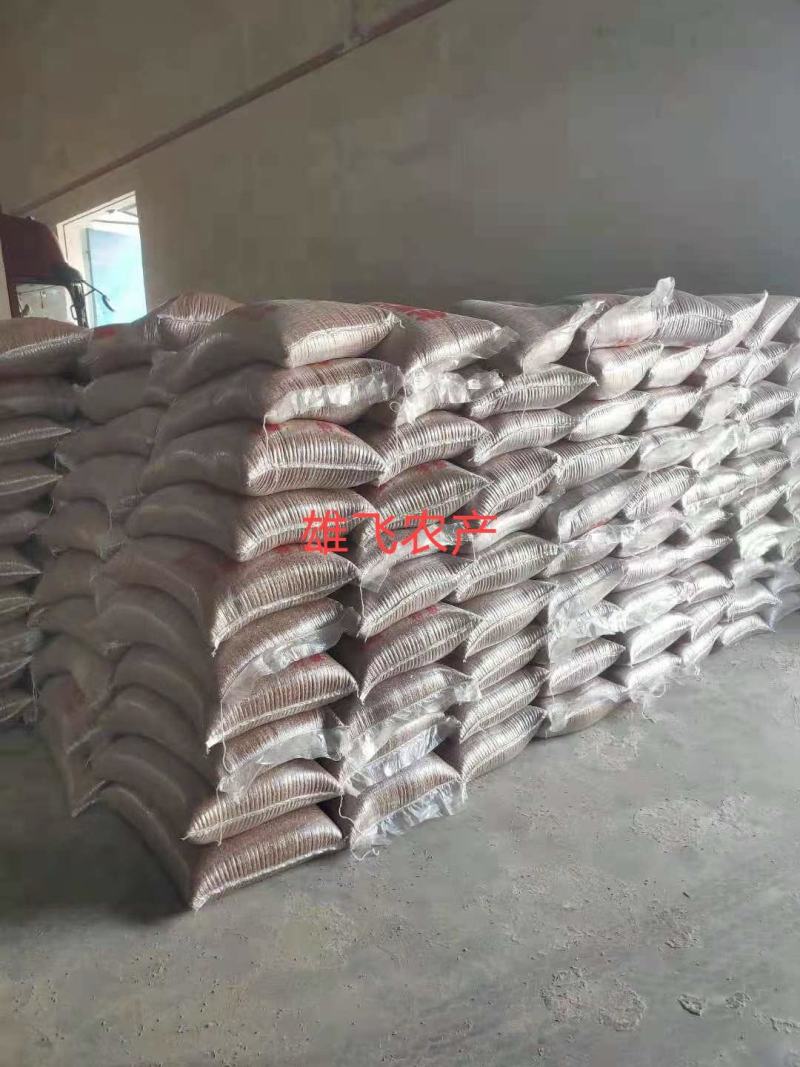 糯高粱高梁酿酒好原粮五谷高梁粮食干净标准定包
