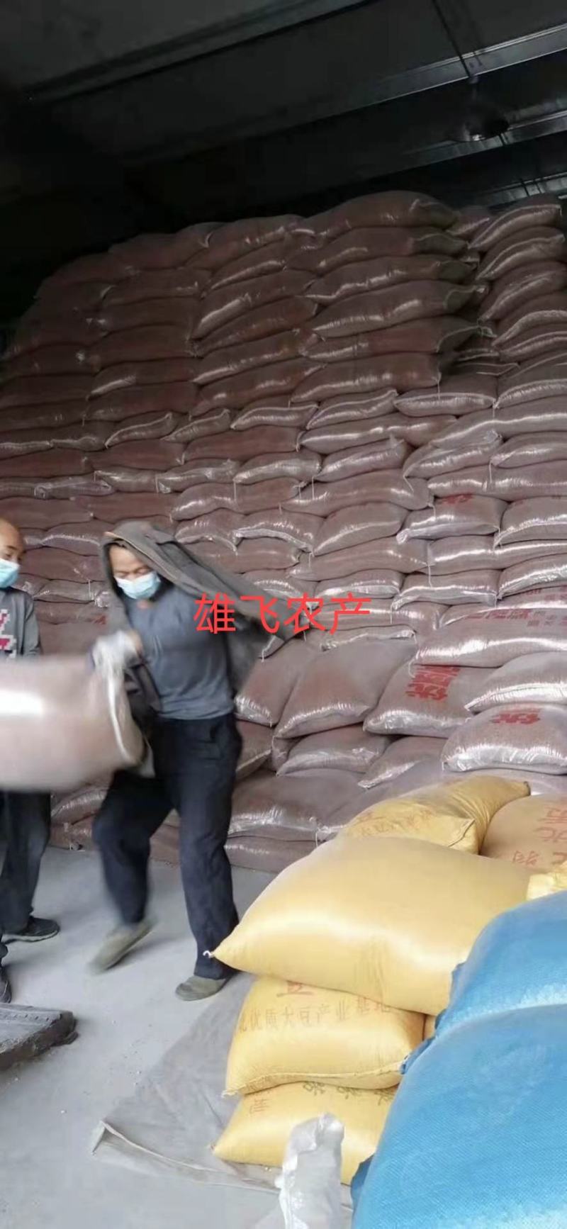 糯高粱高梁酿酒好原粮五谷高梁粮食干净标准定包