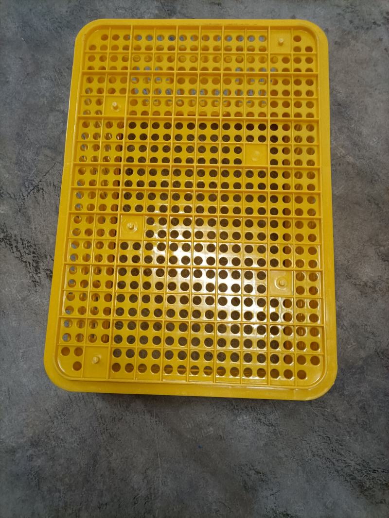 沃柑，水果周转筐