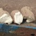 济薯26红薯，基地，货源充足济薯26、红香蕉