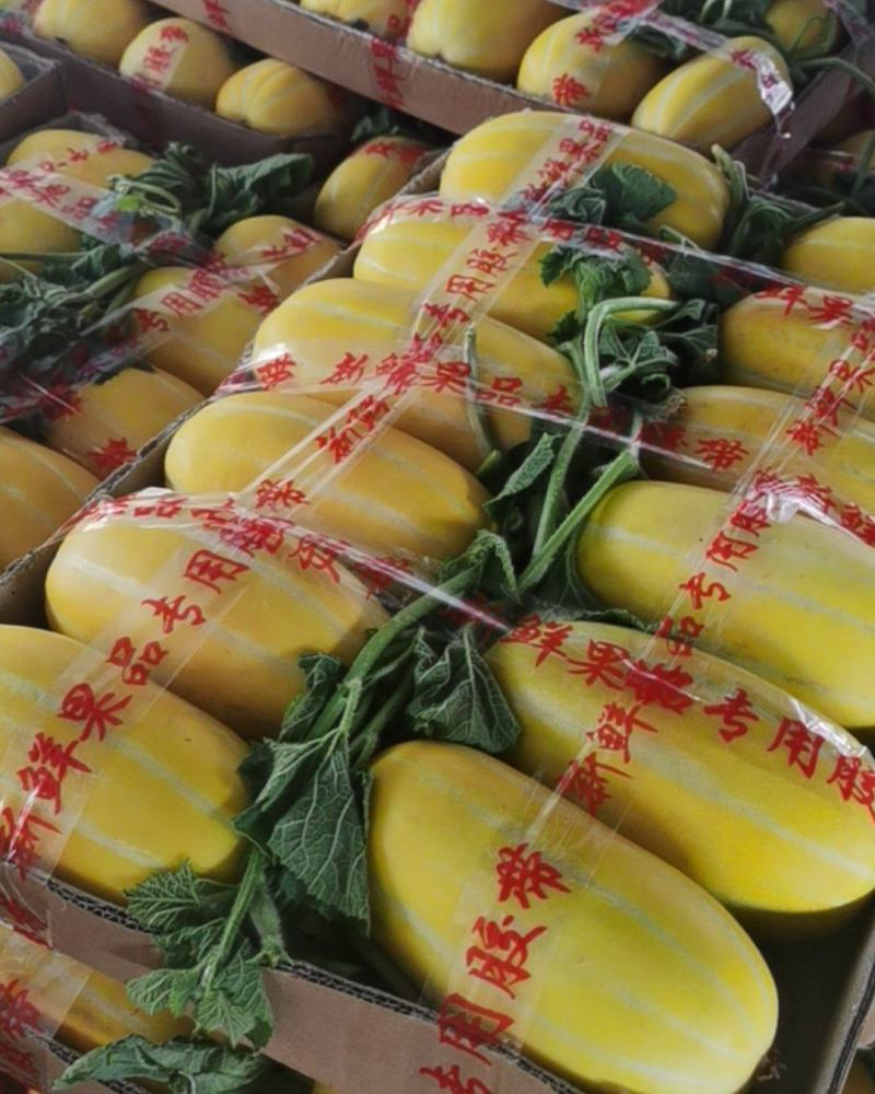 银霆农业有限公司--银霆生鲜---黄子金玉黄金瓜