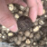 【包邮】干香菇黑面金钱菇香菇干货肉厚朵圆实力商家产地直销