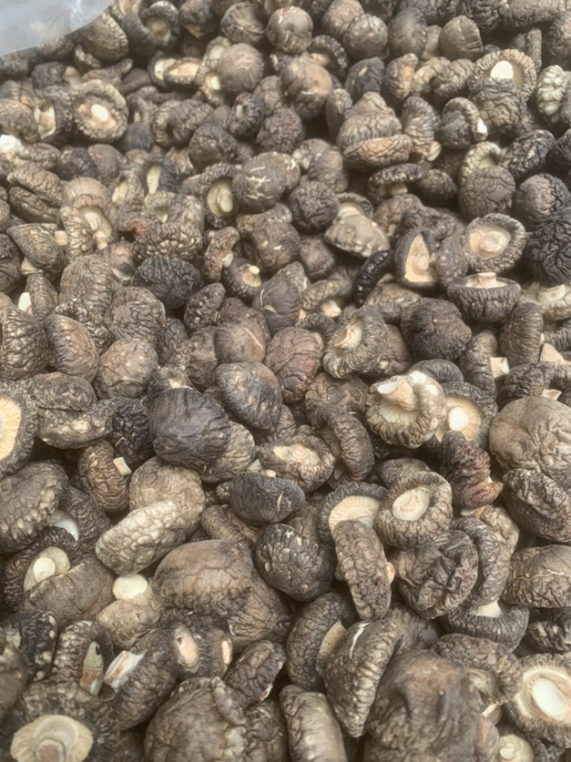 【包邮】干香菇黑面金钱菇香菇干货肉厚朵圆实力商家产地直销