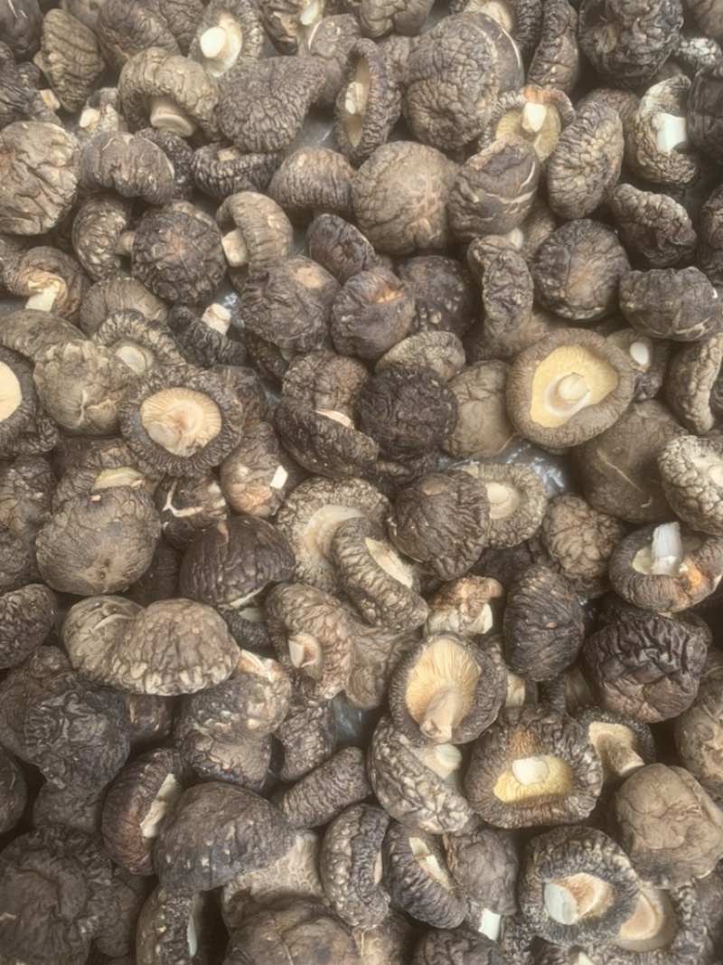 【包邮】干香菇黑面金钱菇香菇干货肉厚朵圆实力商家产地直销