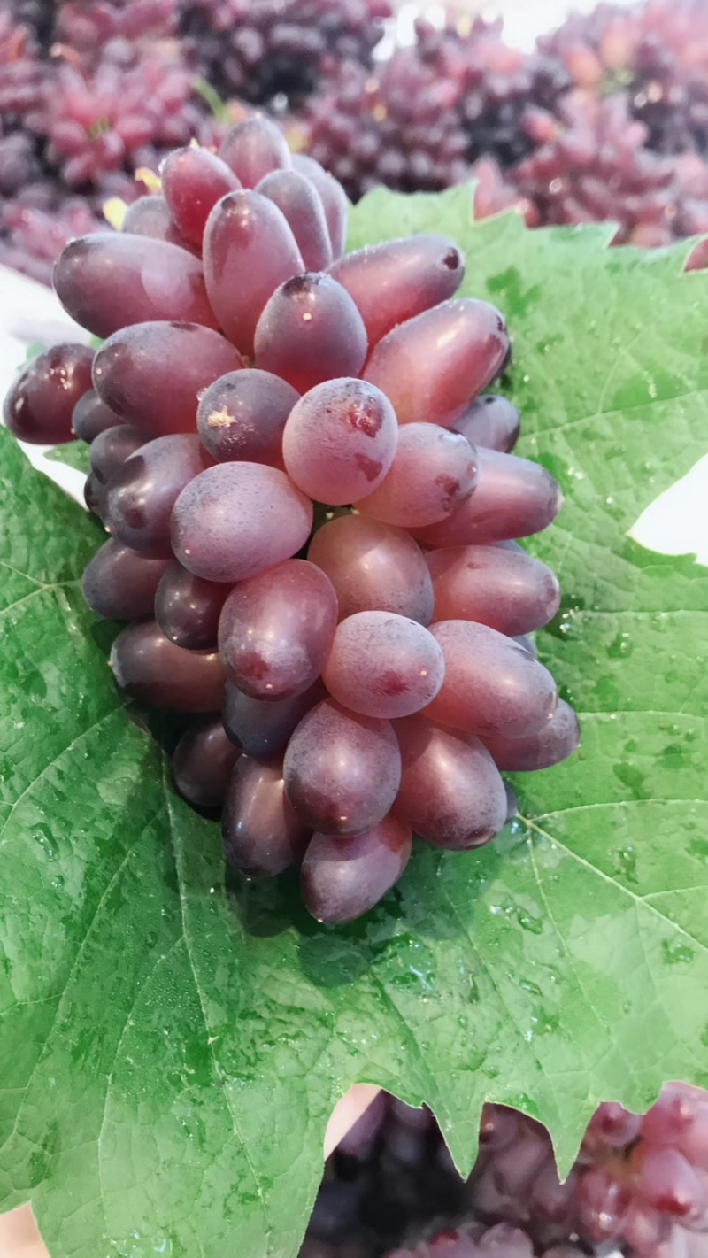 🍇葡萄