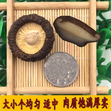 【包邮】干香菇黑面金钱菇香菇干货肉厚朵圆实力商家产地直销