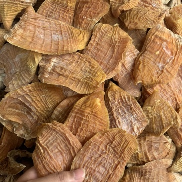 笋尖玉兰片笋干黄泥毛竹笋干赣南优质笋尖短片冬笋片