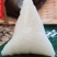 各种粽子批发