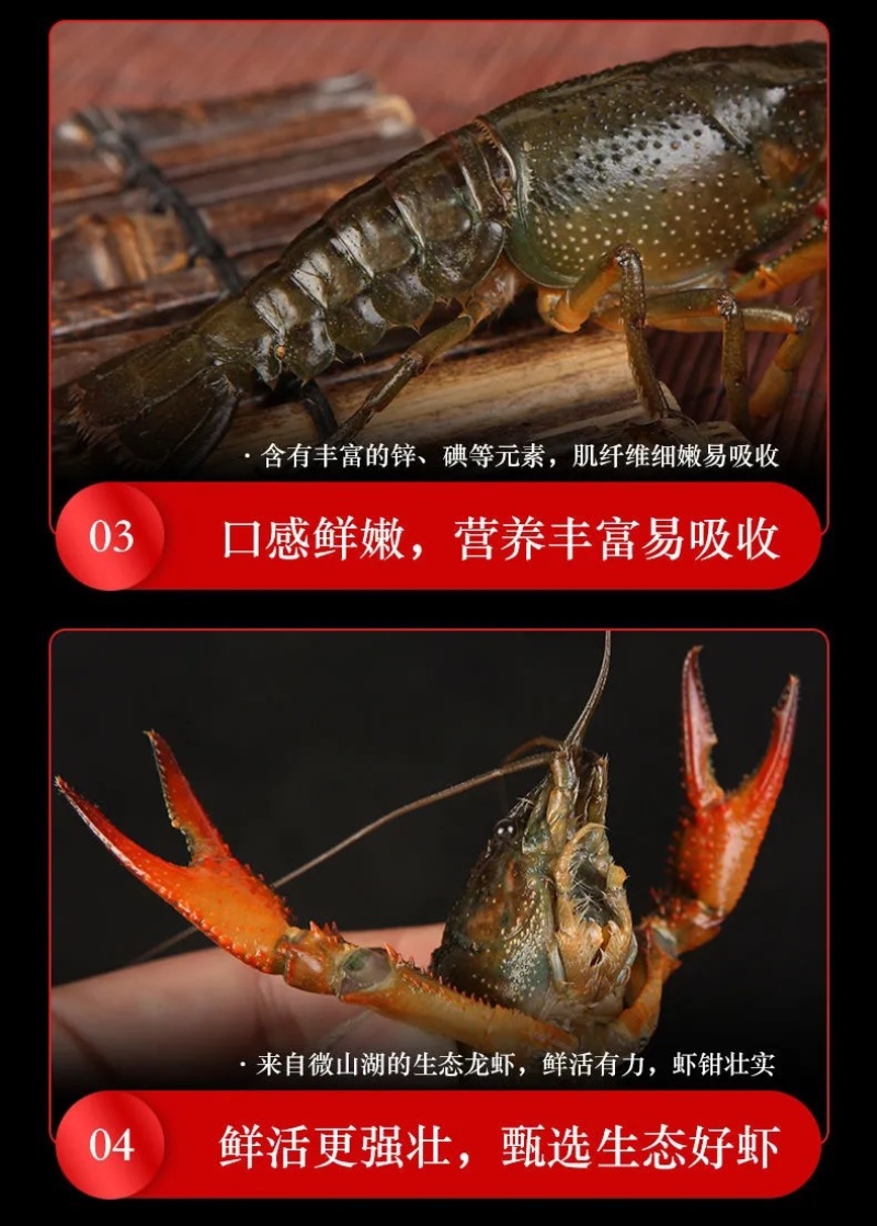 湖北清水养殖小龙虾淡水油焖，蒜蓉，十三香，麻辣香辣小龙虾