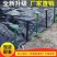 黑色园艺地钉固定地布钉遮阳网防草布地钉大棚农用倒刺塑料地