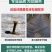 黑色园艺地钉固定地布钉遮阳网防草布地钉大棚农用倒刺塑料地