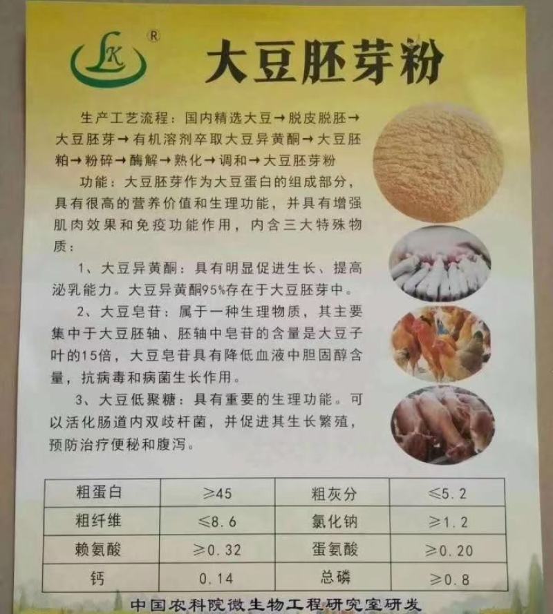 大豆胚芽粉，蛋白45降低成本