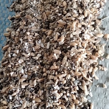 碎小麦