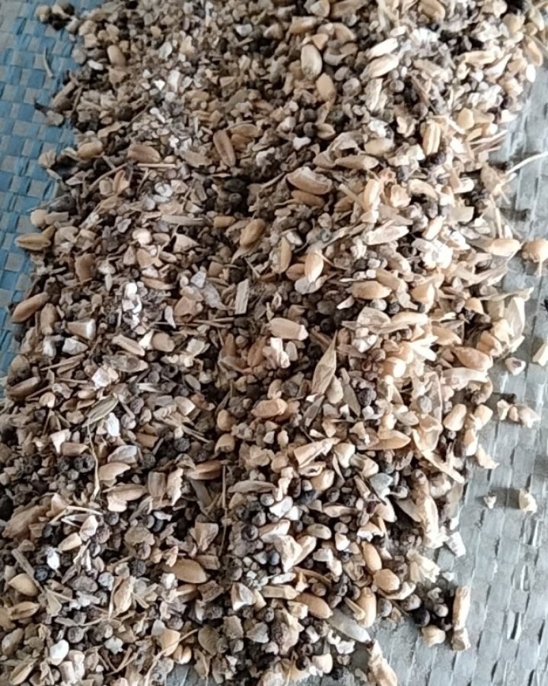 碎小麦