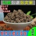 云南野生中药材猫爪草猫爪草小猫莨包邮