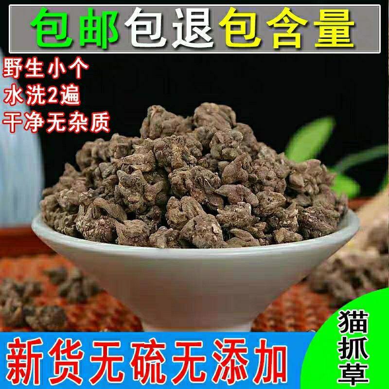 云南野生中药材猫爪草猫爪草小猫莨包邮