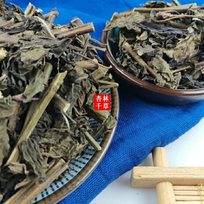 云南野生中药材苏叶纯正紫苏叶包邮