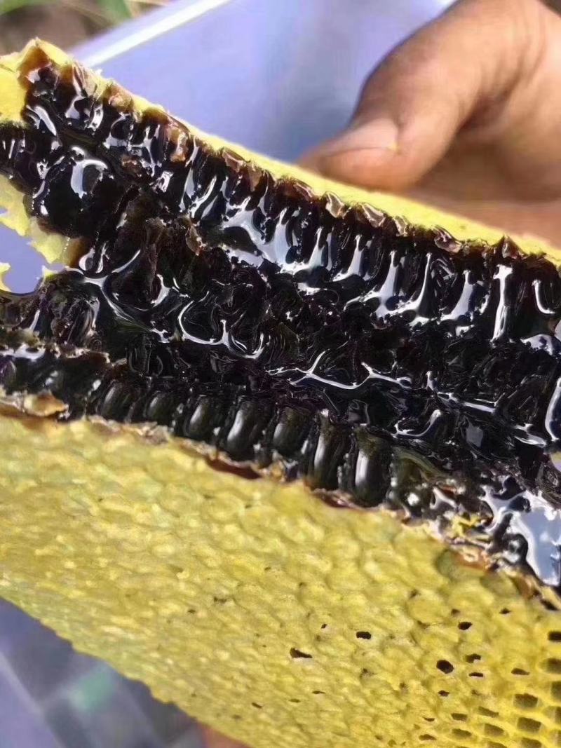 野生蜂蜜