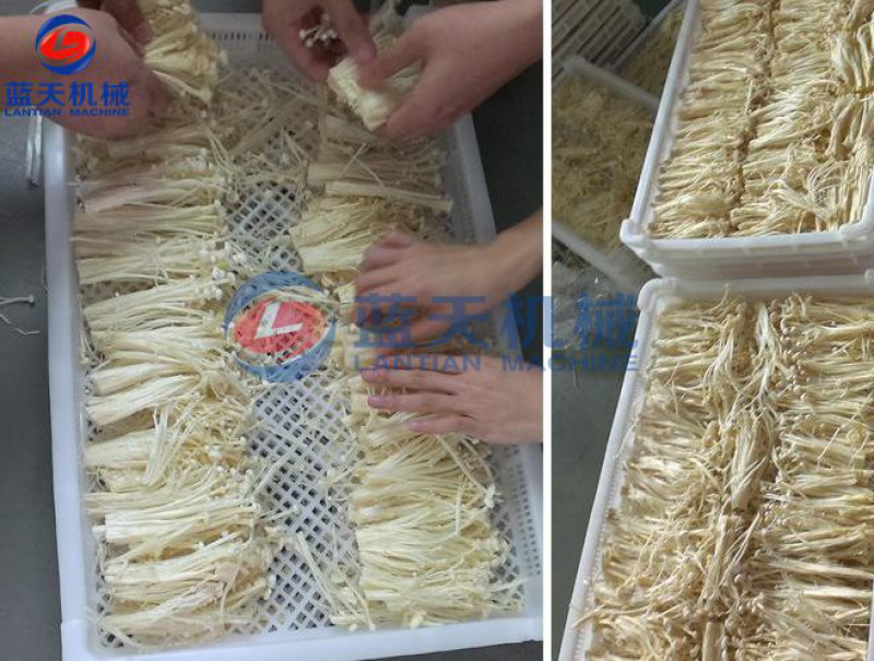 羊肚菌烘干机牛肝菌烘干机金针菇烘干机木耳烘干机设备