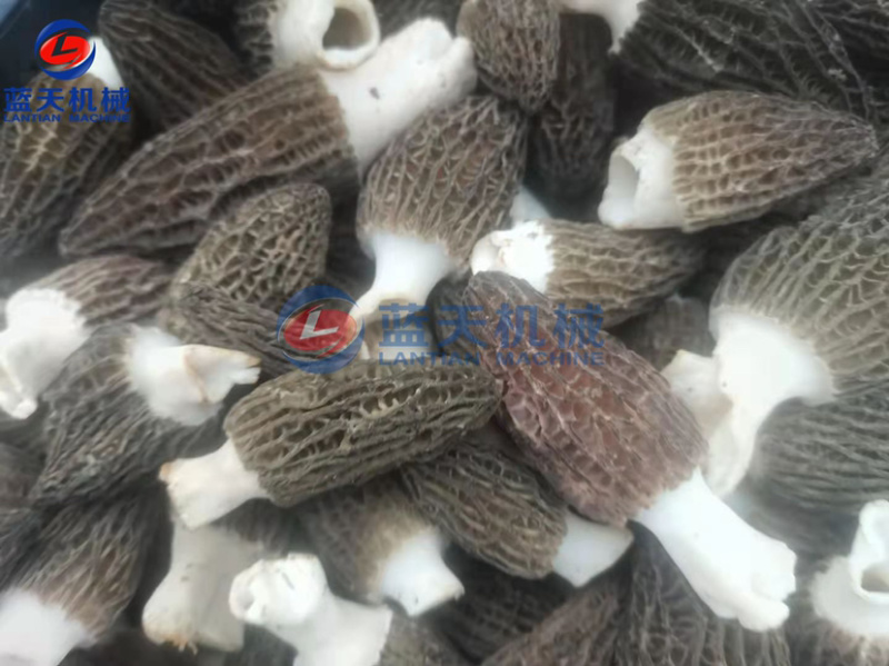 羊肚菌烘干机牛肝菌烘干机金针菇烘干机木耳烘干机设备