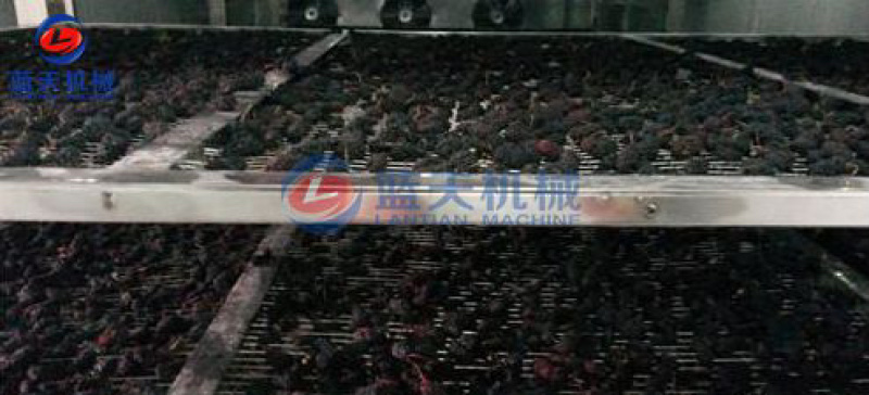 桑葚烘干机桑葚子烘干房桑椹烘干机广东桑果烘干机设备