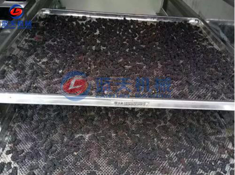 桑葚烘干机桑葚子烘干房桑椹烘干机广东桑果烘干机设备