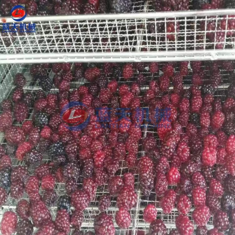 桑葚烘干机桑葚子烘干房桑椹烘干机广东桑果烘干机设备