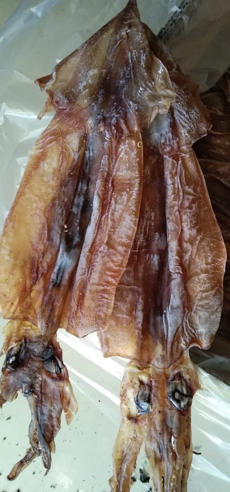 阿根廷鱿鱼！烧烤鱿鱼！可水发！淡干！一斤10头左右！