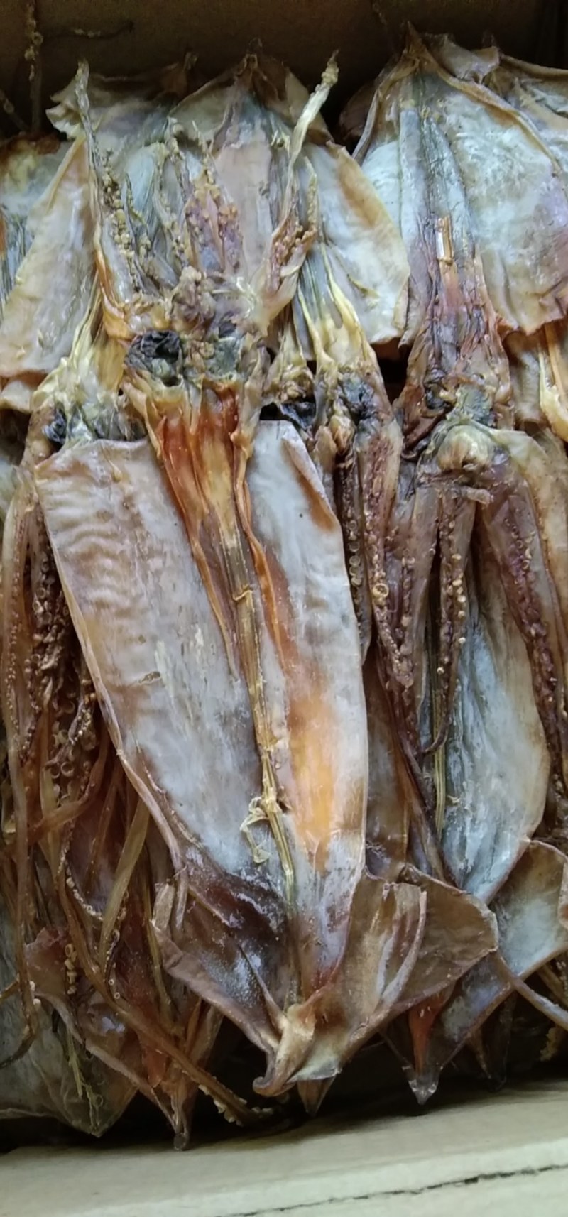 阿根廷鱿鱼！烧烤鱿鱼！可水发！淡干！一斤10头左右！