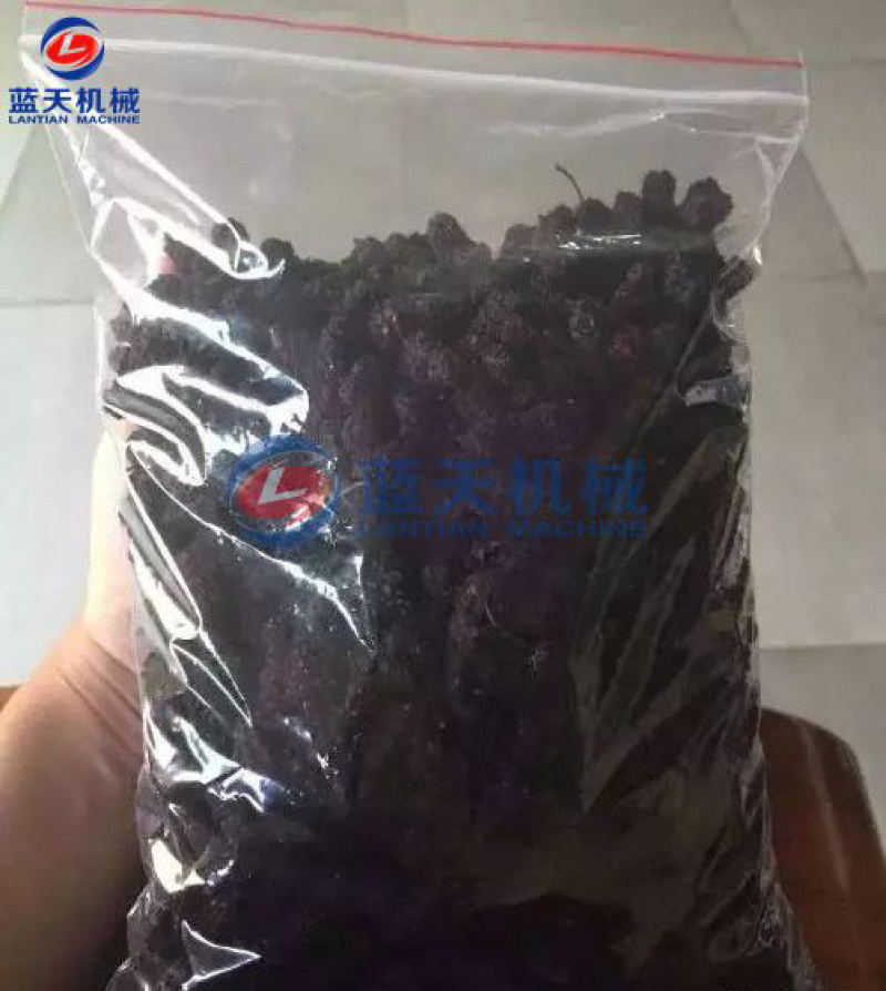 桑葚烘干机桑葚子烘干房桑椹烘干机广东桑果烘干机设备