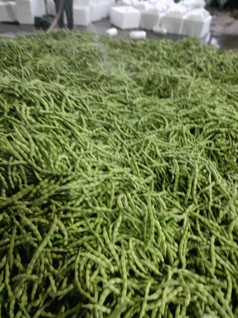 攀枝花优质蔬菜大青豆