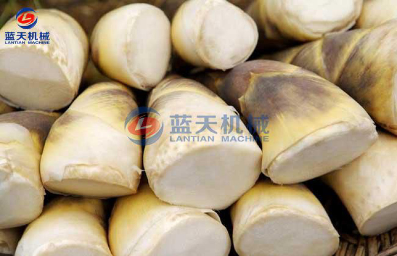 竹笋烘干机笋干烘干房大型莴笋烘干机竹笋漂烫烘干设备