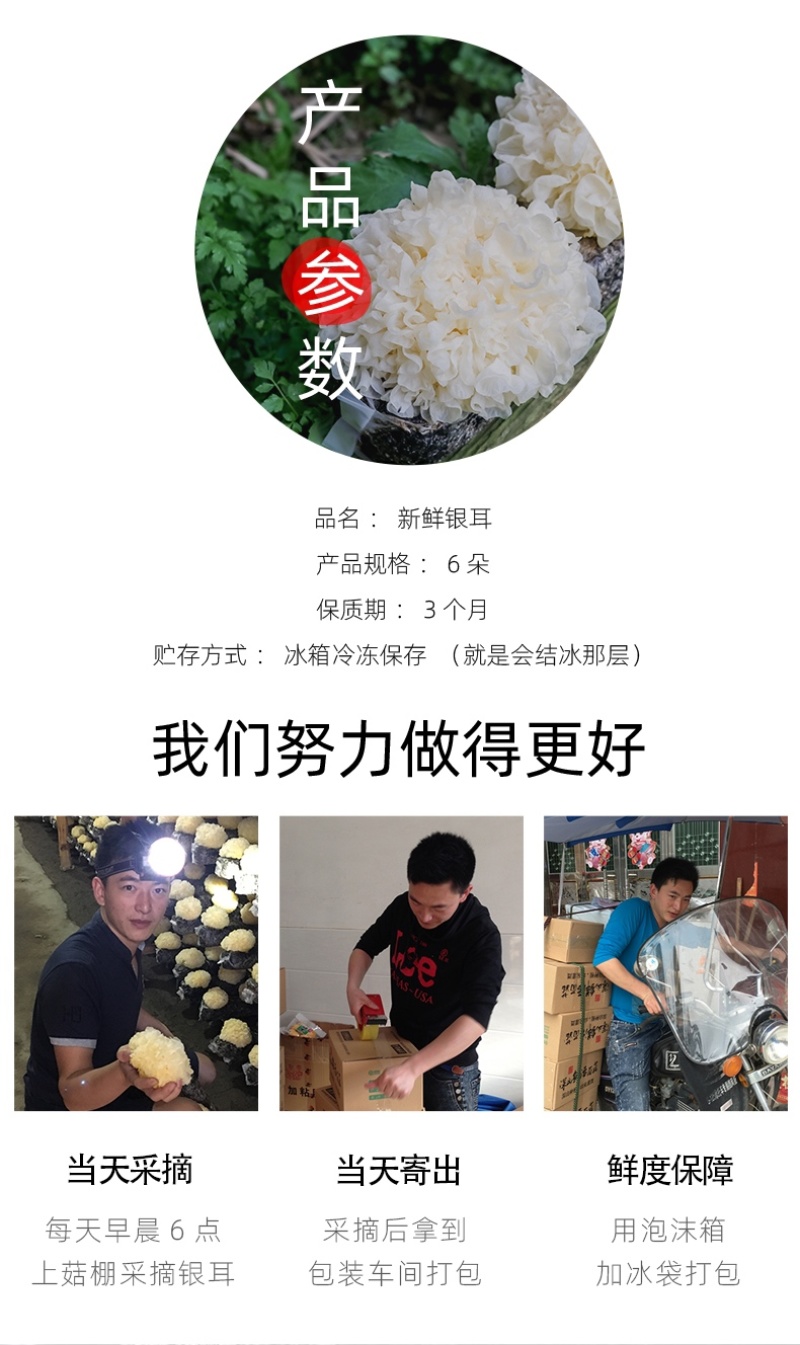 新鲜银耳6朵活耳糯耳白木耳雪耳