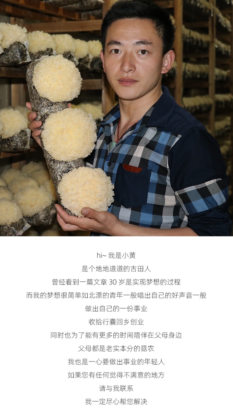 新鲜银耳6朵活耳糯耳白木耳雪耳