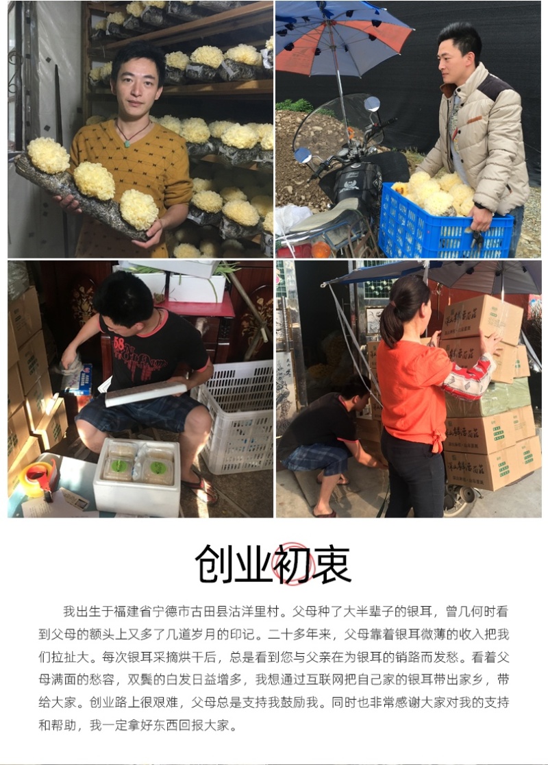 新鲜银耳6朵活耳糯耳白木耳雪耳