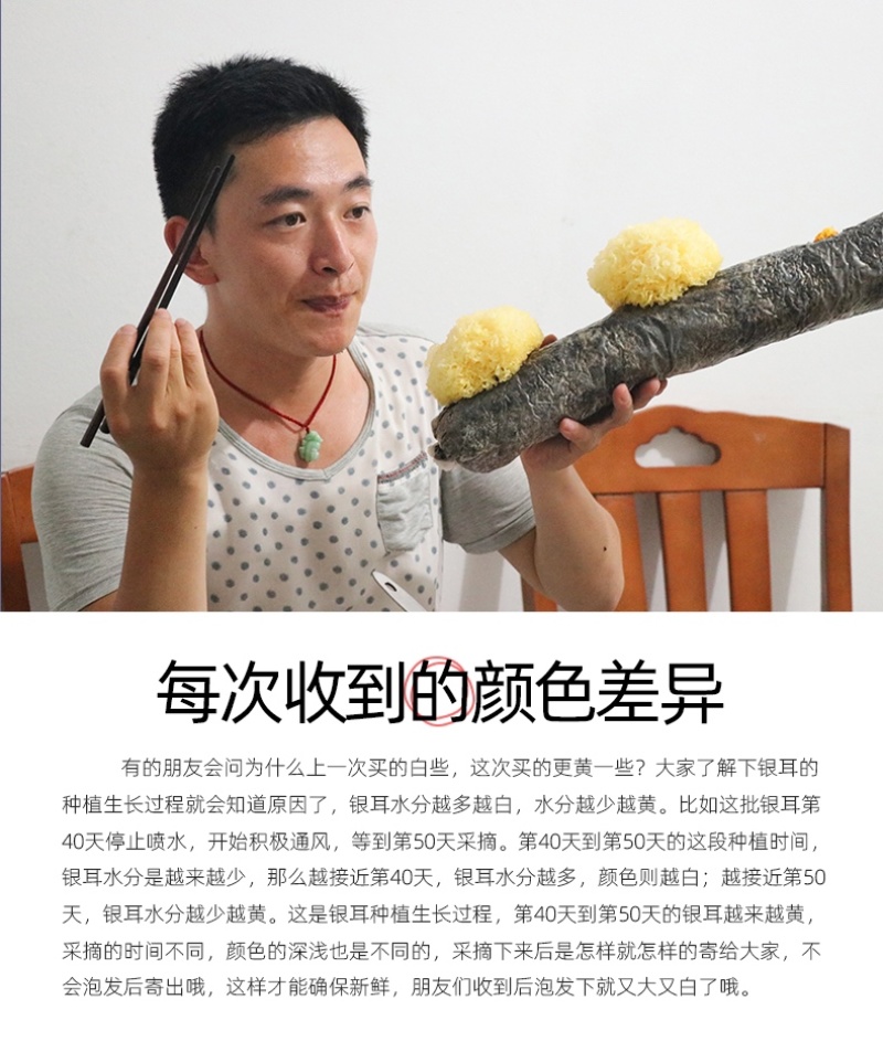 新鲜银耳6朵活耳糯耳白木耳雪耳