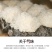 新鲜银耳6朵活耳糯耳白木耳雪耳